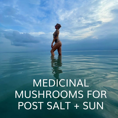 How I Use Medicinal Mushrooms to Reverse Sun Damage Post Sun + Salt